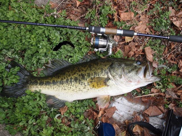 ハートランドZ HL-Z 6102MLFS-07 スピニング柳龍 (ダイワ) | 南湖族の