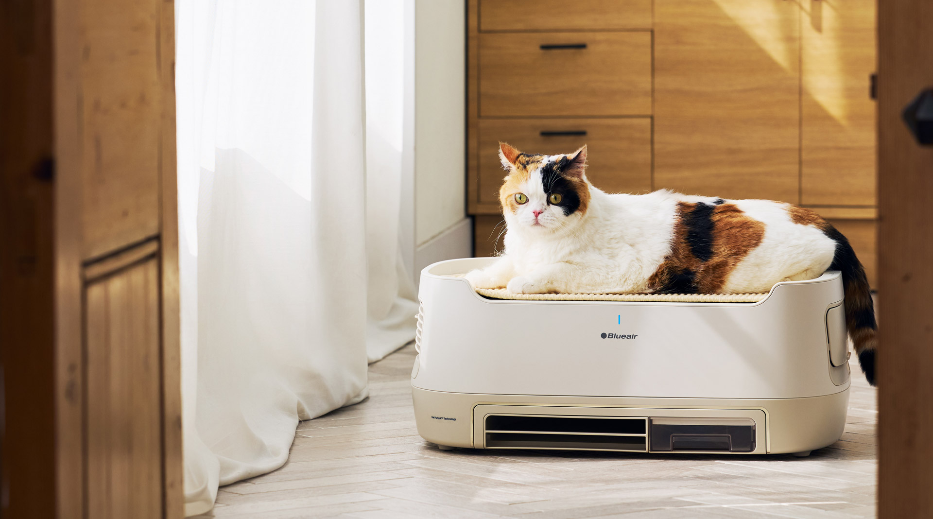 PetAir Pro | ブルーエアストア | 【公式】ブルーエア空気清浄機 | Blueair