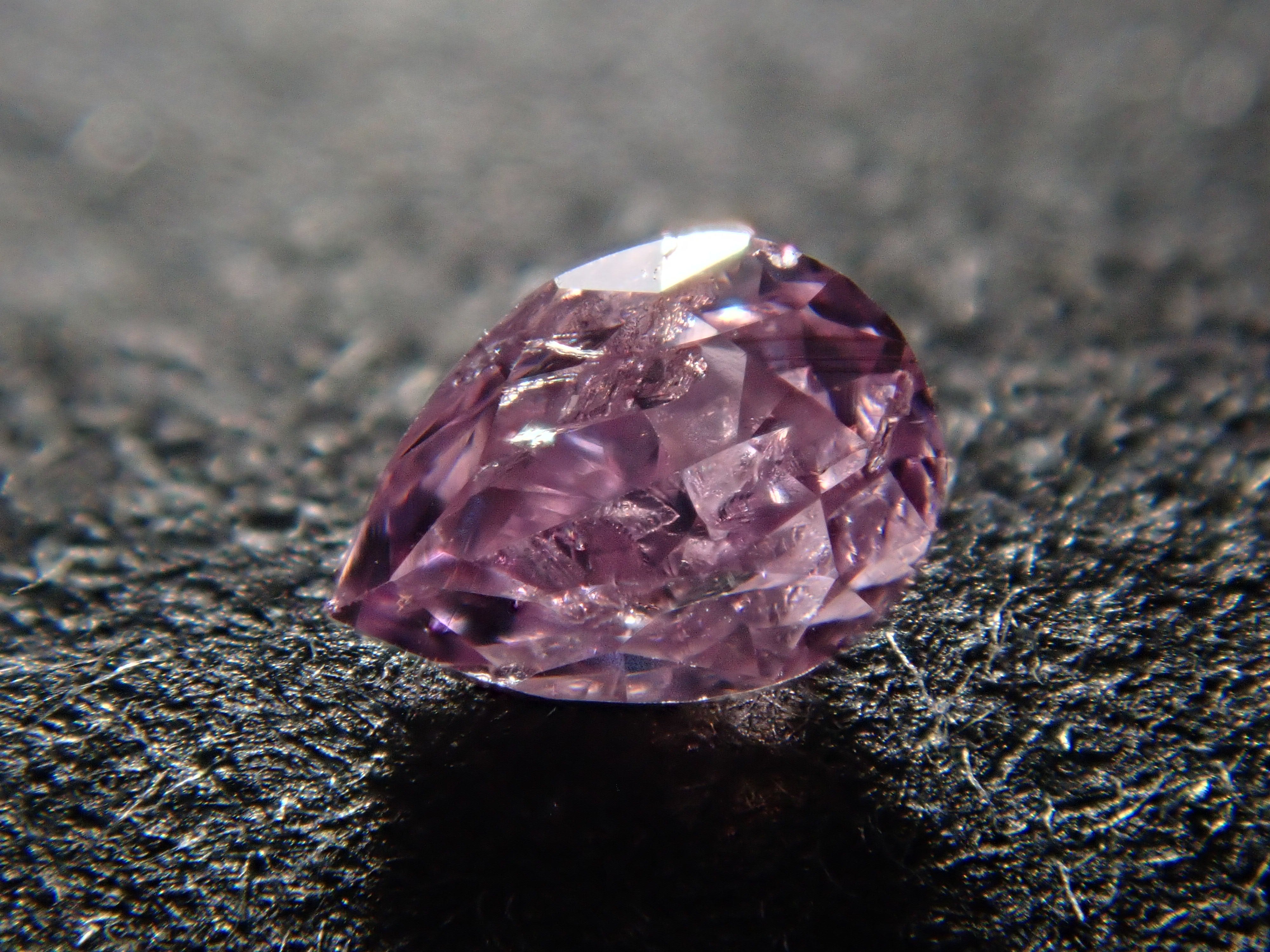 P9294719.jpg?v=1696733750&