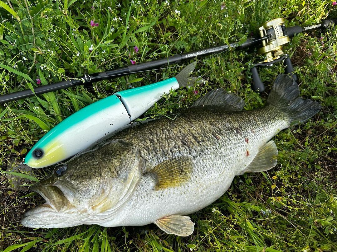 VOLTA 375｜ID CUSTOM BAIT｜studio COMPOSITE スタジオコンポジット