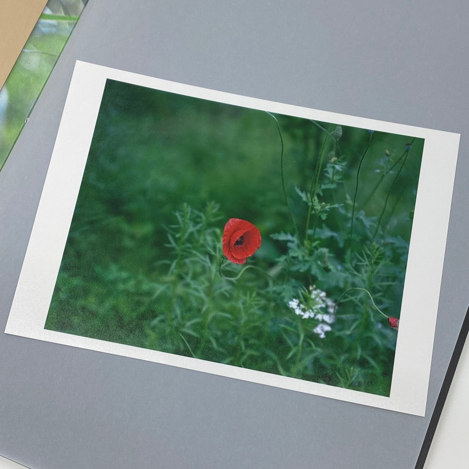 etude_sp_02_1024x.jpg?v=1630844323