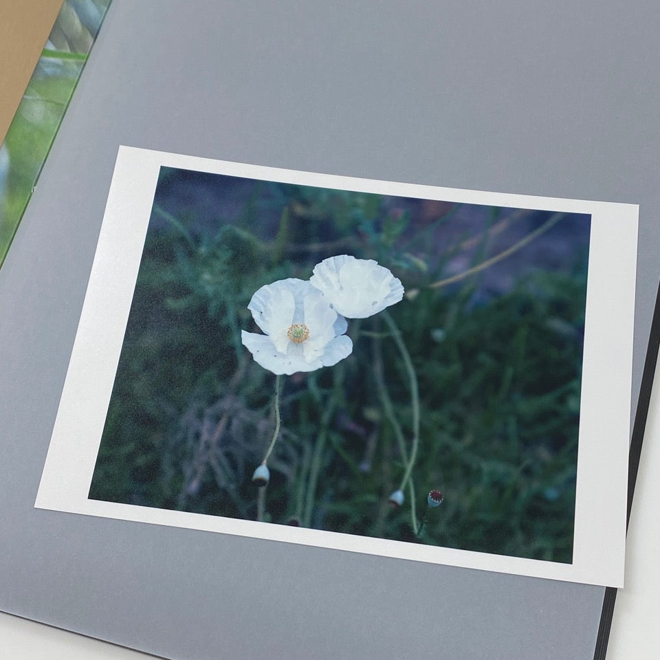 etude_sp_03_1024x.jpg?v=1630844323