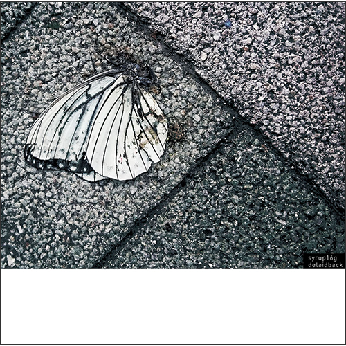 syrup16g レビュー