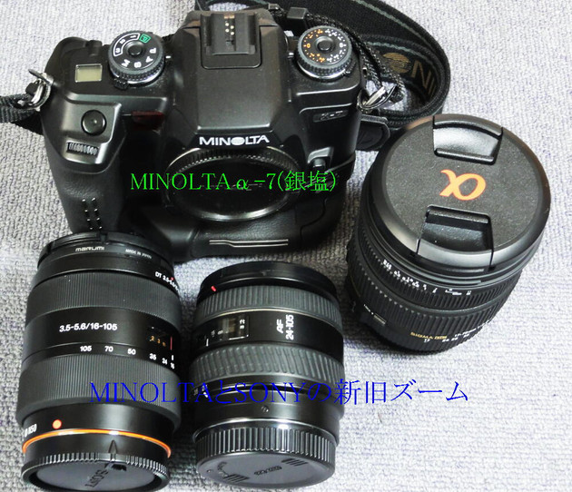 Sony α55にたどり着くまでの変遷とDT 16-105mm SAL16105: 書道家の日々