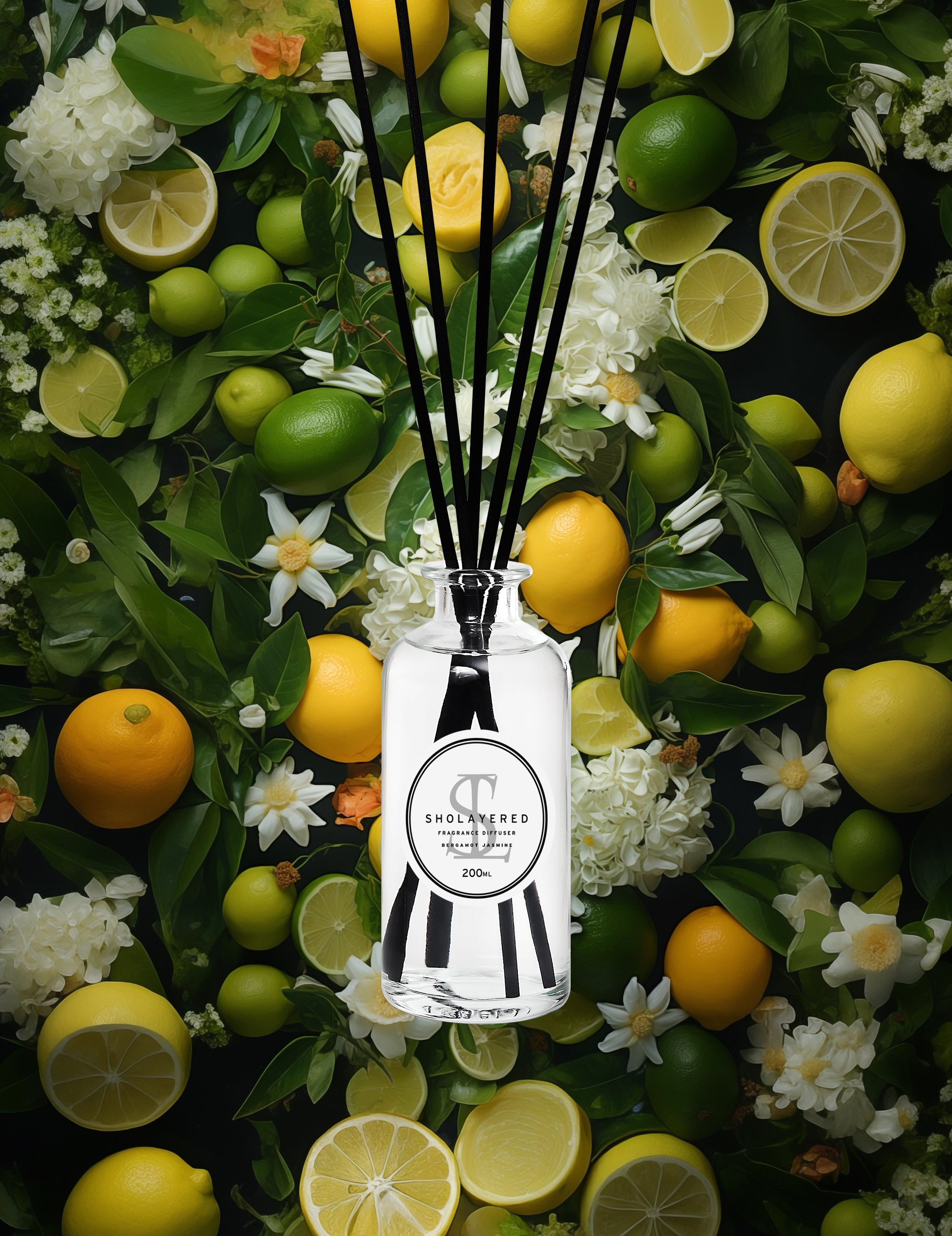 df200_bj_bg_02-2.jpg?v=1736491843