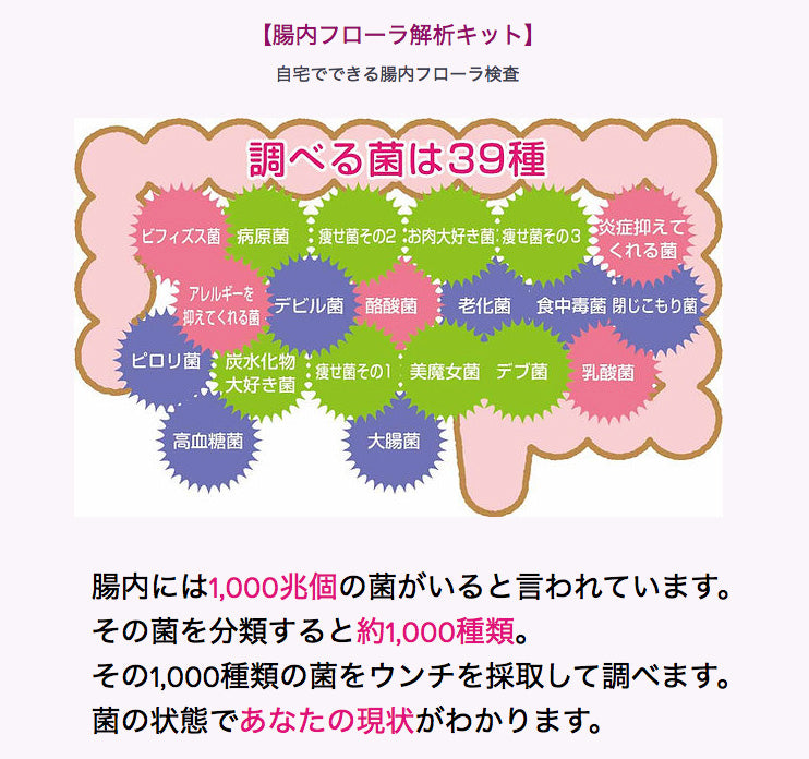 自宅でできる腸内フローラ検査】腸内フローラ解析キット – agaveria