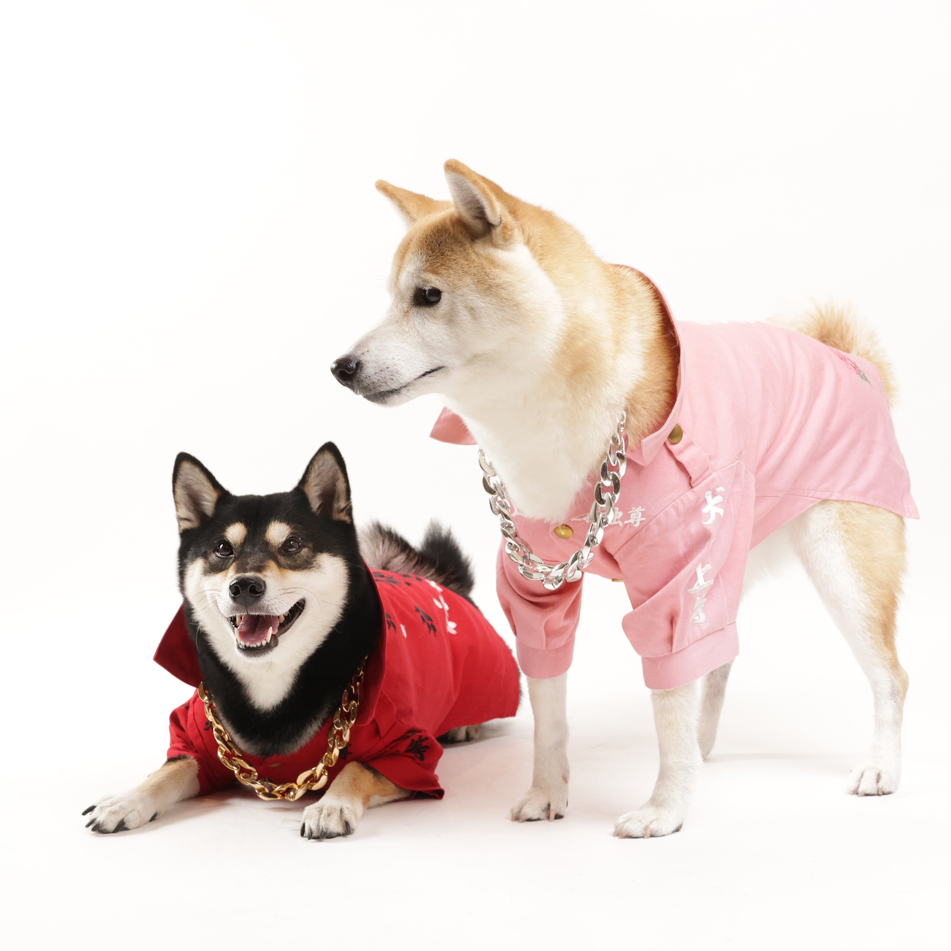 特攻服｜犬の洋服・オーダーメイド衣装通販 DOGBASE YOKOHAMA