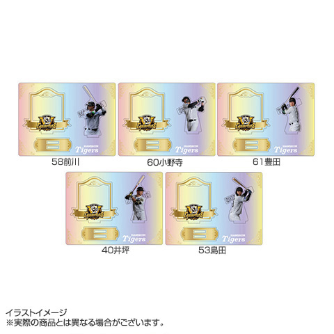 B_受注】【T-SHOP限定】2025 JERA セ・リーグ優勝記念 オーロラ