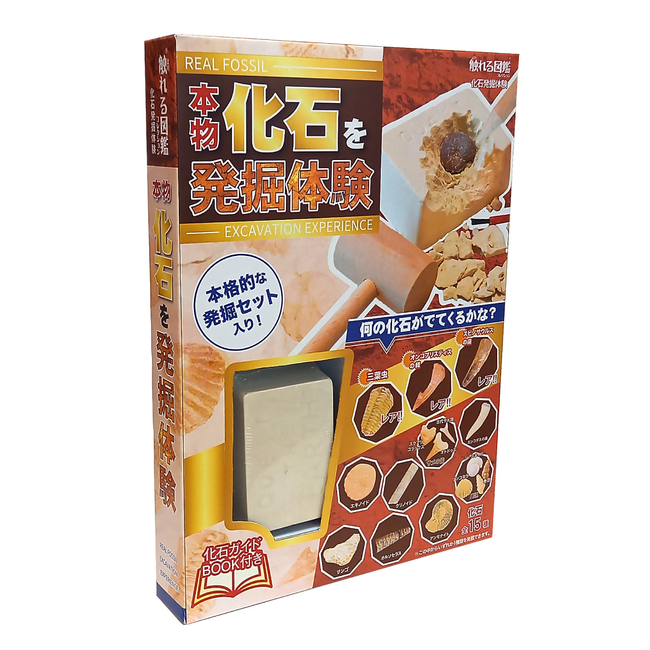 化石発掘体験【触れる図鑑】/本物の化石が入った発掘キット – 親子の