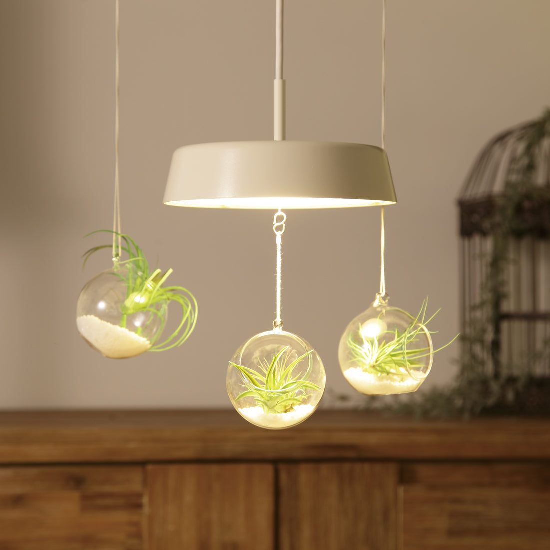 円盤ペンダントライト 引掛シーリング MPN01-IV ダクトプラグ(レール用