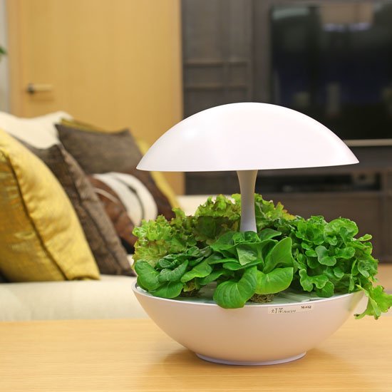 Akarina01 OMA01 | 灯菜 LED水耕栽培器 | おしゃれなインテリア照明店