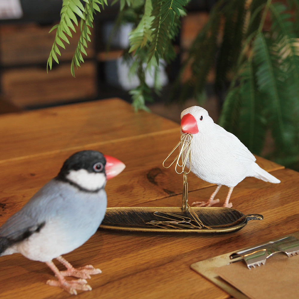リアルな文鳥のオブジェBIRDIE BILL JAVA SPARROW（バーディ ビル