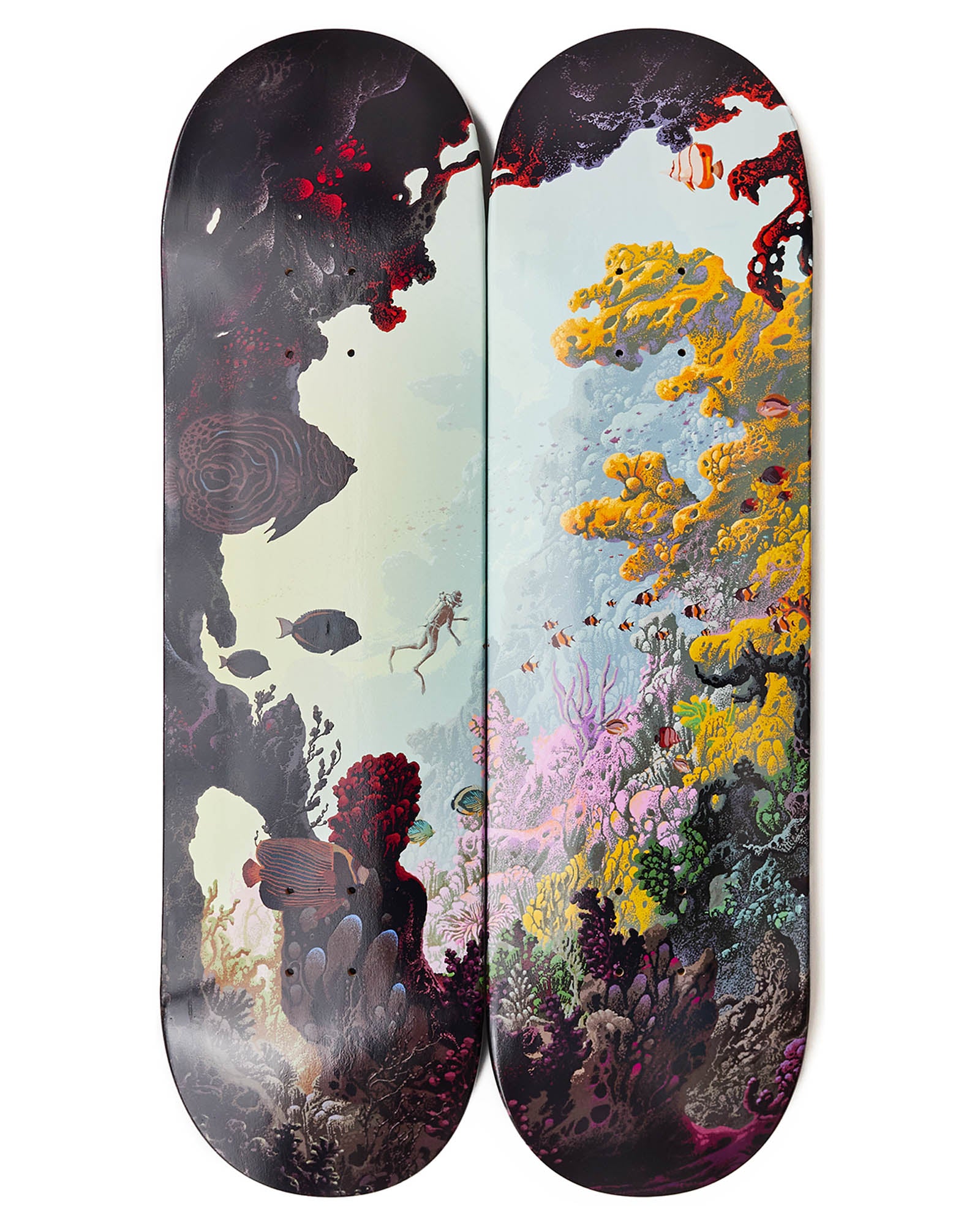 A Dream of the Reef - Skateboard Diptych Set – PangeaSeed