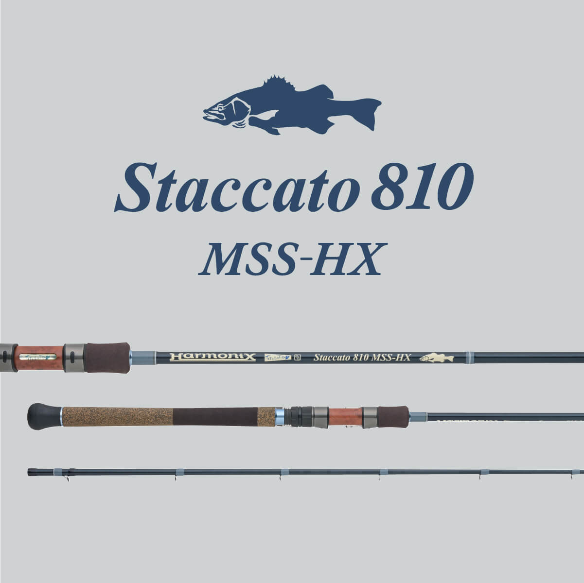 Staccato 810 MSS-HX – TULALA online store