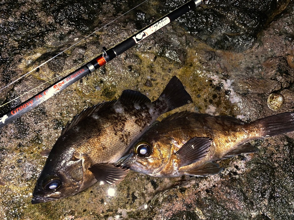 TULALA | Ford every stream | » Flightex Groovy 76C