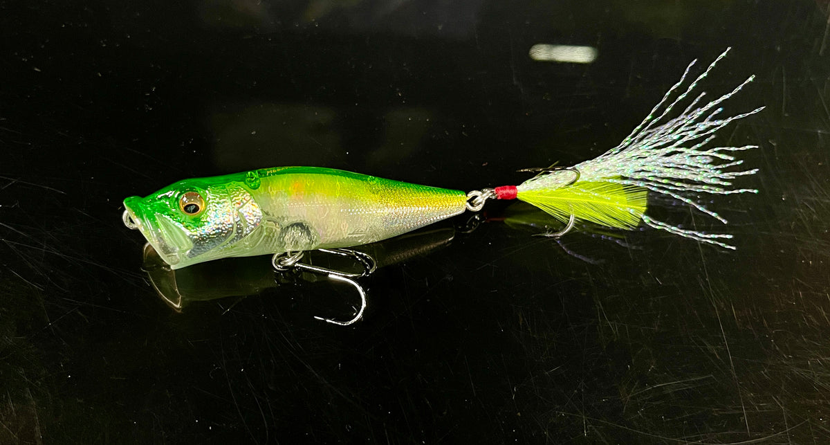 IMG_2396_1200x1200.jpg?v=