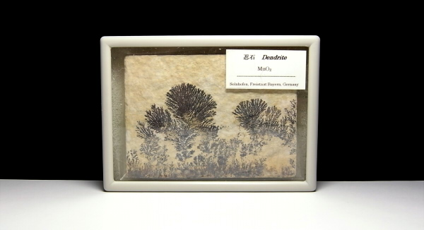 □Dendrite／忍石