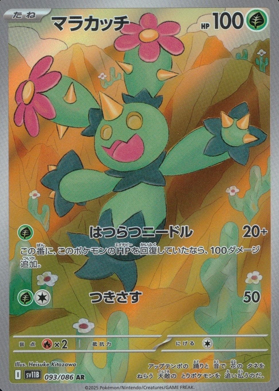 093/086/SV11B/B/AR マラカッチ