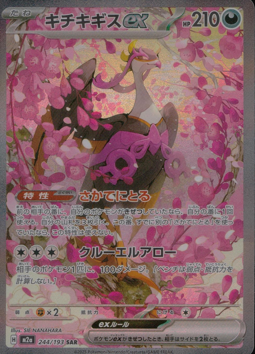 244/193/M2a/SAR キチキギスex