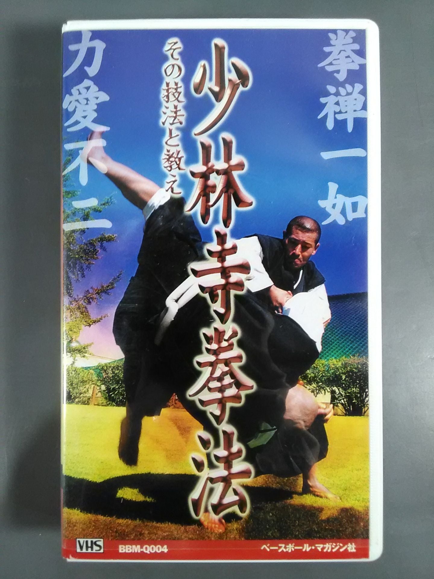 少林寺拳法 その技法と教え – 闘道館