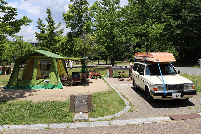 Jon Boat | TSUNAMI LURES