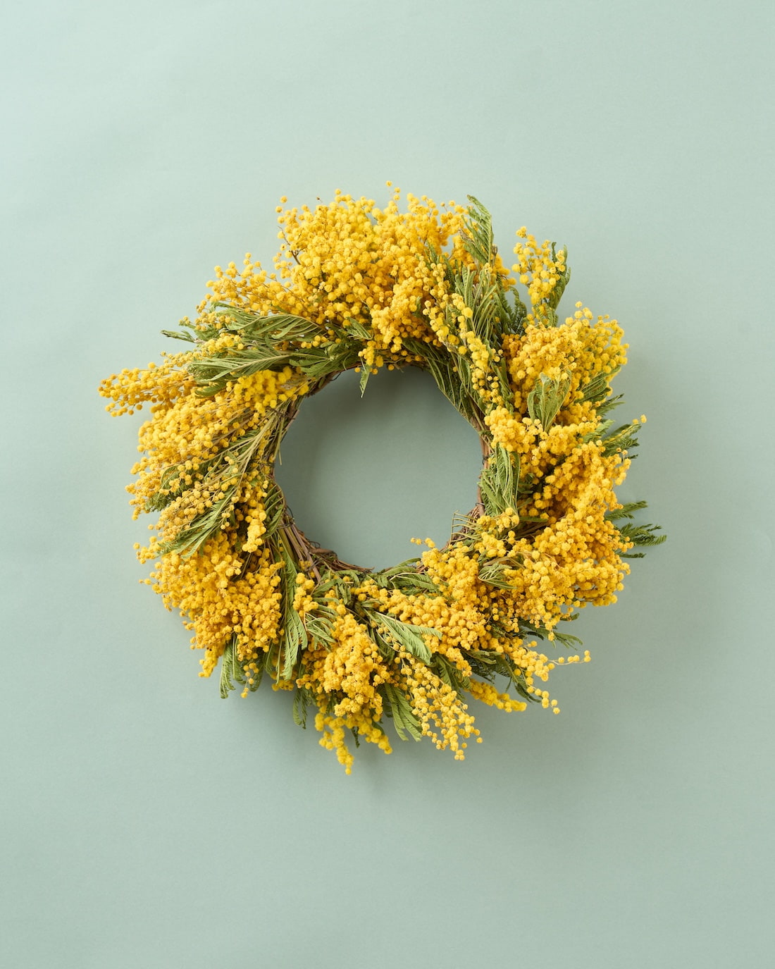 陽だまり＞ミモザのリース 商品ページ - 土と風の植物園
