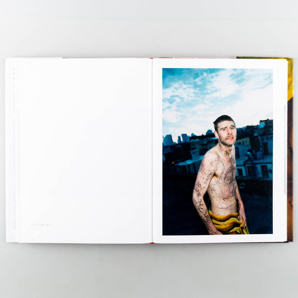 アート・デザイン・音楽 ryan mcginley the kids were alright アート