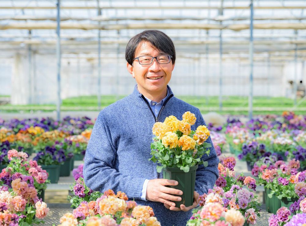 佐藤さん（サトウ園芸）が園芸部門で天皇賞 | 高崎新聞