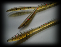 株式会社 常吉 TSUNEKICHI inc. | 商品の情報/AD常吉ワーム