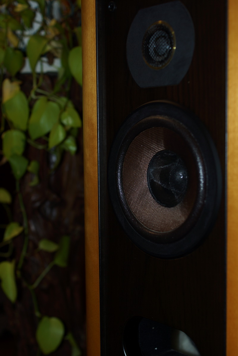 DIATONE DS-203 三菱電機 2ウェイ・トールボーイ。復活前のﾀﾞｲﾔﾄｰﾝ最後