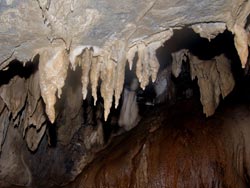 内間木洞・鍾乳石 1