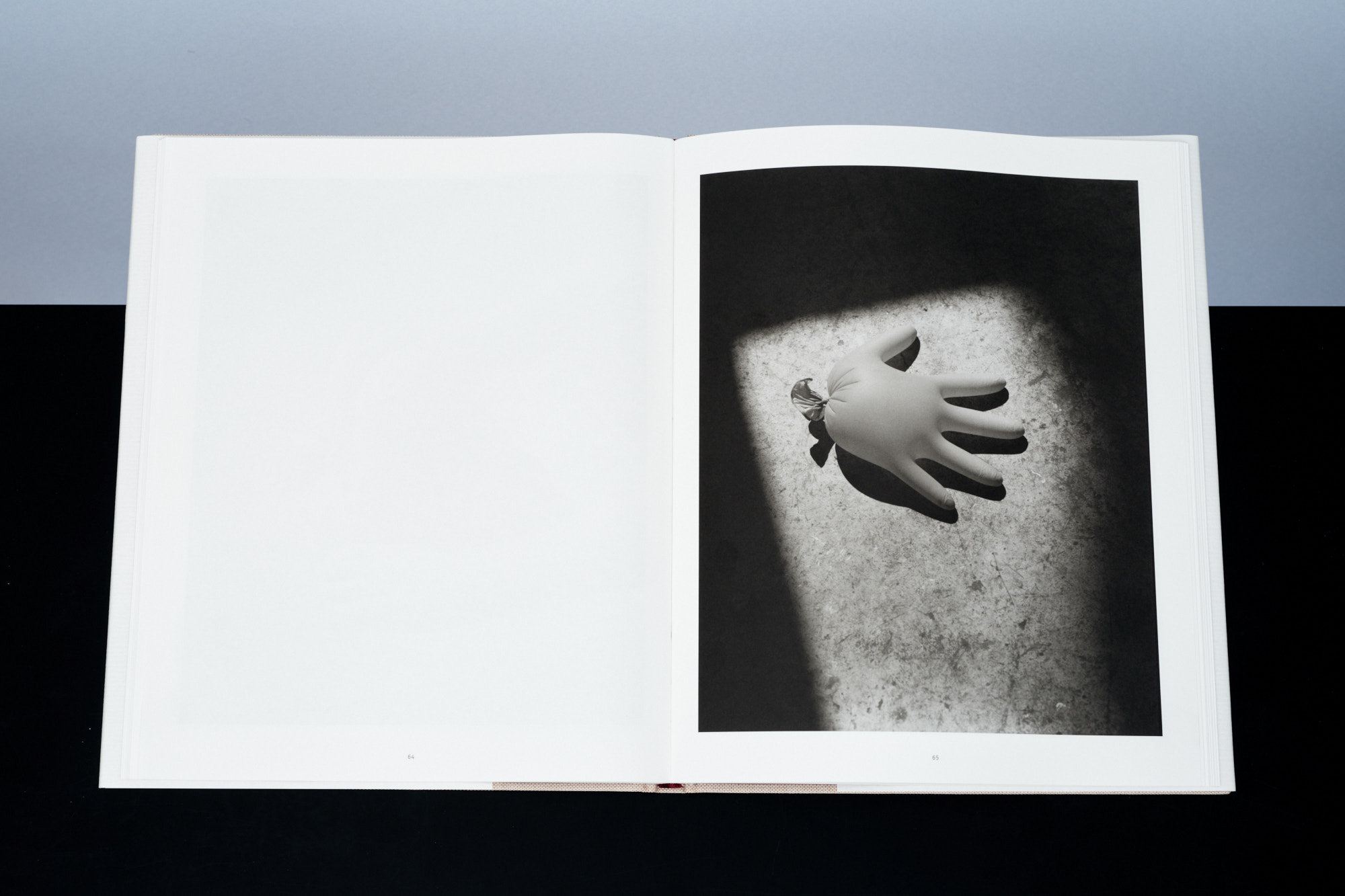 Thomas Manneke - Zillion – Van Zoetendaal Publishers