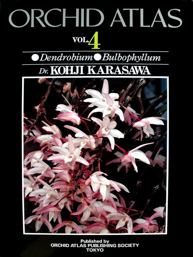 世界の野生蘭ORCHID　ATLAS VOL.4 デンドロビウム・バルボフィルム 八坂書房:書籍詳細:世界の野生蘭 VOL.4<BR>デンドロビウム／バルボ