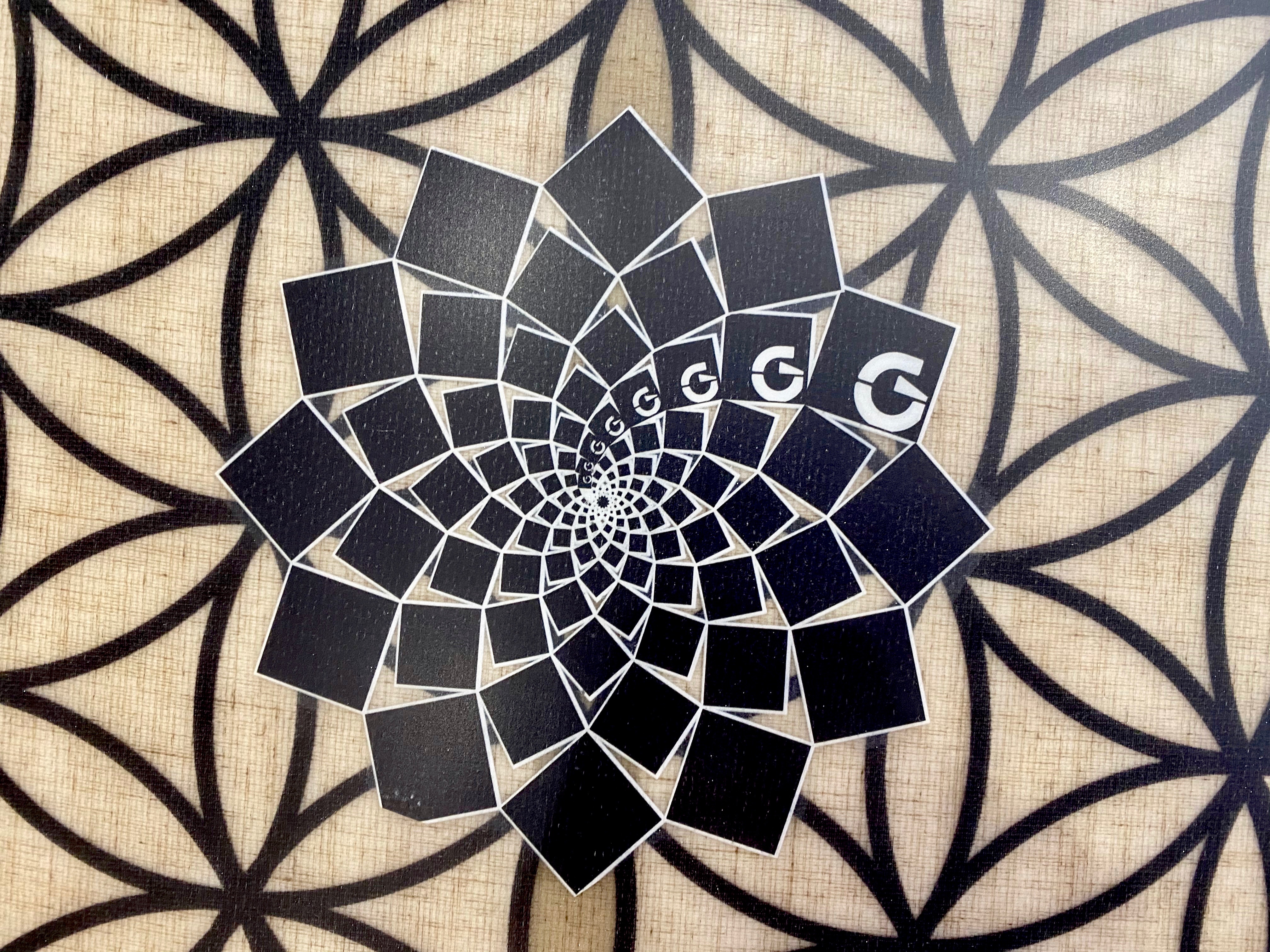 Gary Mcneill Concepts Surfboards RASTA TORUS TWIN 5.9 |Okinawa