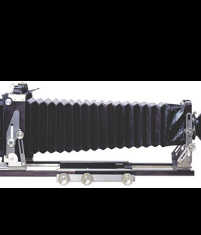 エボニー of ワイズクリエイト