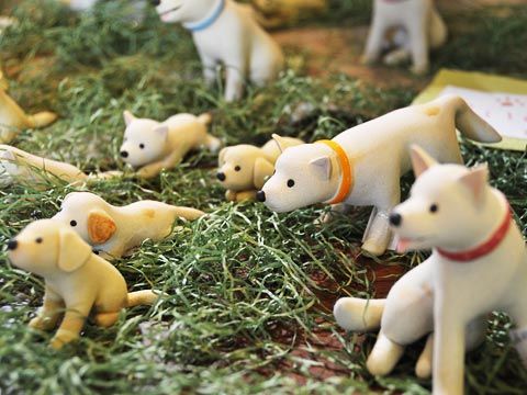 愛犬とともに里山に暮らす - ゆたり