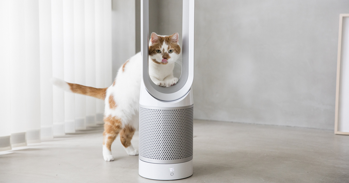 安全で清潔、快適な暮らしのための、ダイソン空気清浄機能付ファン