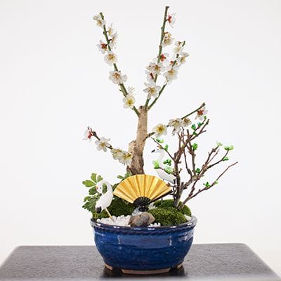 梅づくし 寄せ植え 5号の盆栽を販売｜盆栽妙 – 盆栽妙 本店
