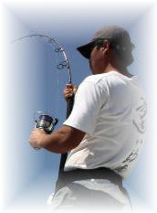 マーリン カジキ 株式会社 カーペンター ルアー 釣り GTフィッシング