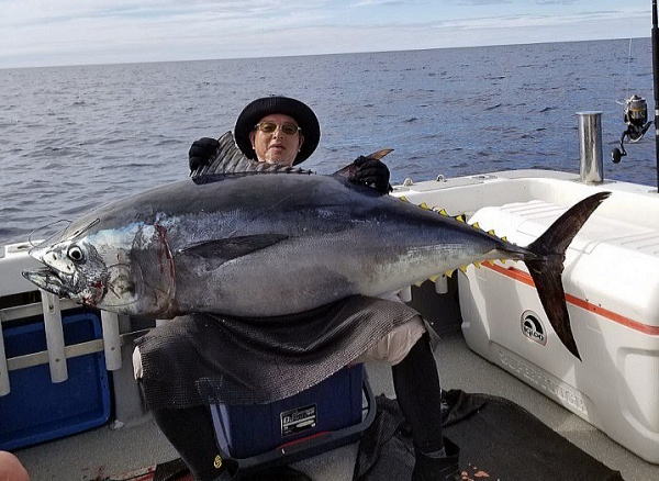 カーペンター メモリアル フィッシュ