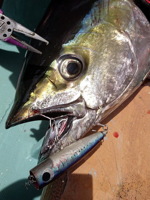 カーペンター ストライク イーグル