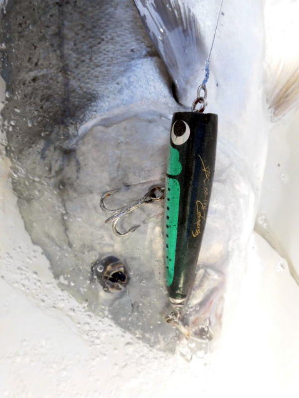 カーペンター BCポッパー