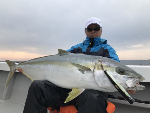 blc84/25 r-pm sc hgs