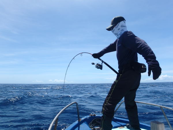 カーペンター BLC84／18 ブルーチェイサー