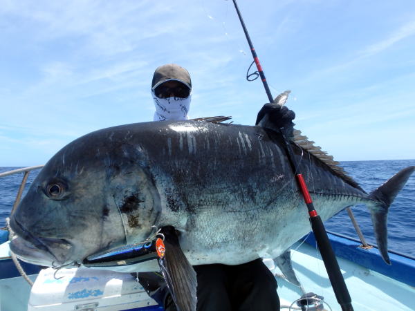 カーペンター BLC84／18 ブルーチェイサー