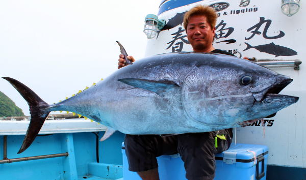 カーペンター BLC84／18 ブルーチェイサー