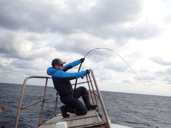 カーペンター BLC84／16 R－PM SC ブルーチェイサー