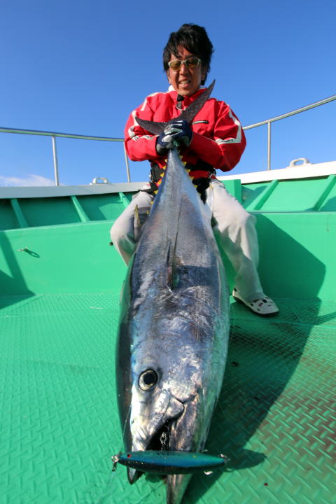 カーペンター BLC84／25 R－PM SC ブルーチェイサー