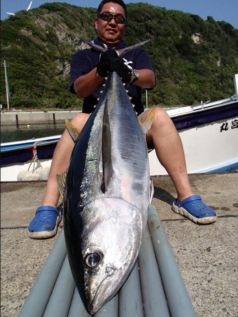 カーペンター BLC84／25 R－PM SC ブルーチェイサー