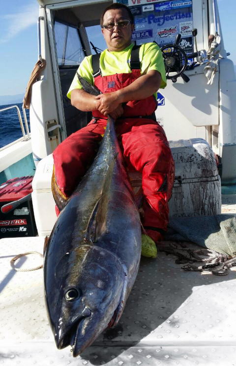 カーペンター BLC84/22 ブルーチェイサー